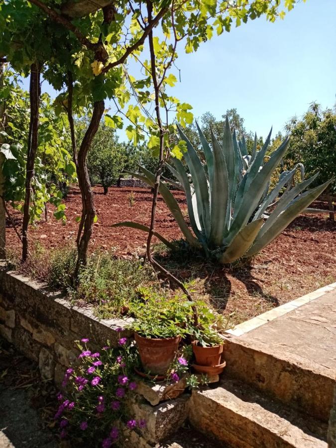 Il Trullo E Il Fortino อัลเบโรเบลโล ภายนอก รูปภาพ