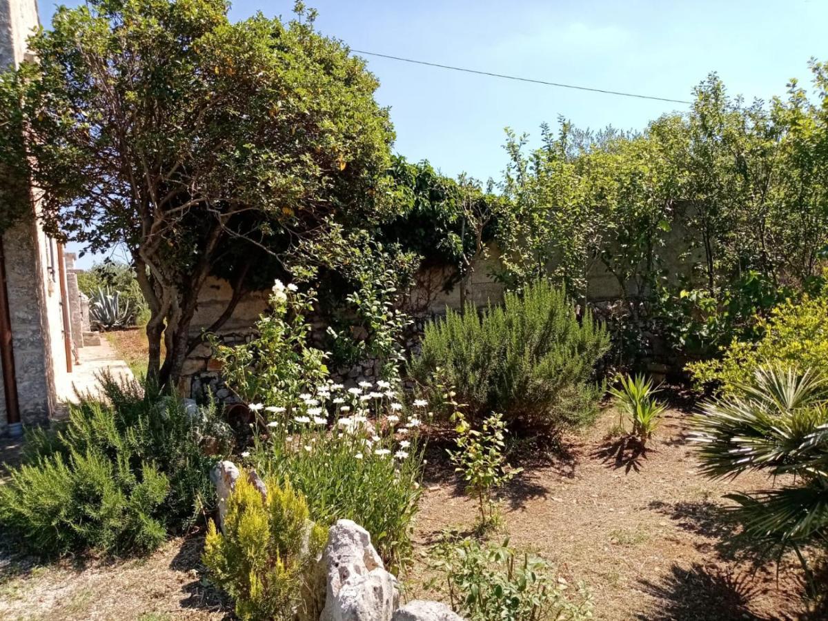 Il Trullo E Il Fortino อัลเบโรเบลโล ภายนอก รูปภาพ