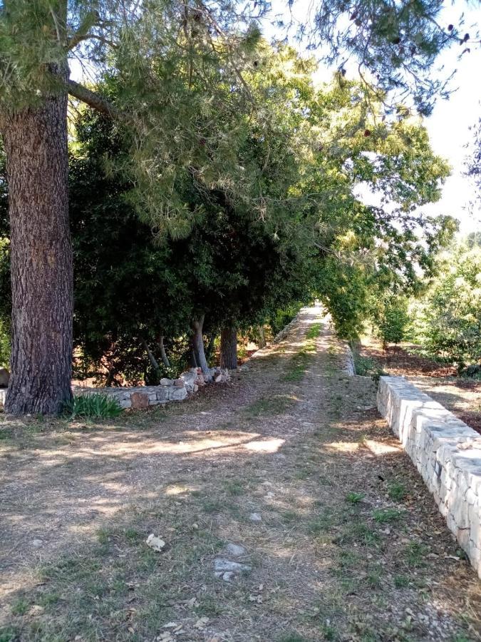 Il Trullo E Il Fortino อัลเบโรเบลโล ภายนอก รูปภาพ