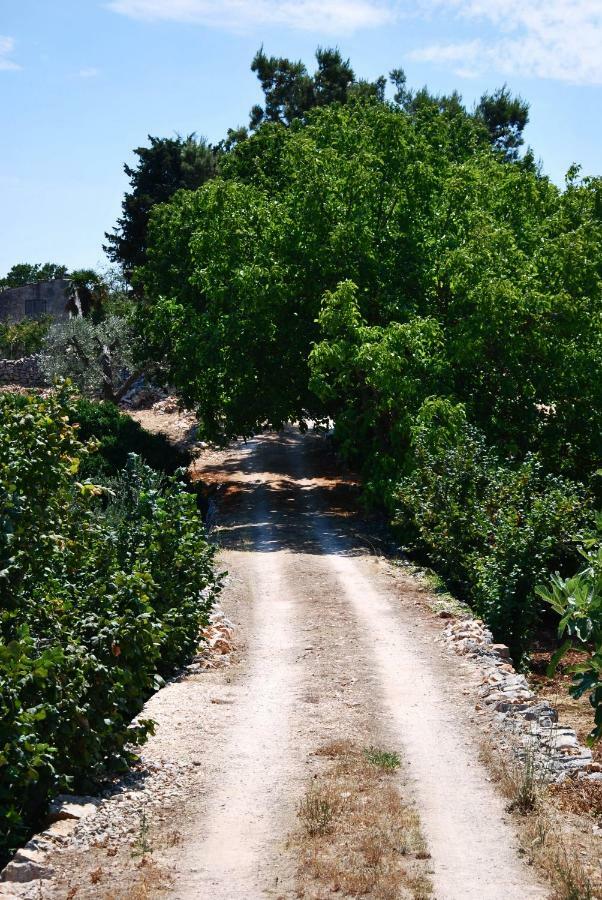 Il Trullo E Il Fortino อัลเบโรเบลโล ภายนอก รูปภาพ